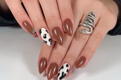 Cookie Beauty Studio