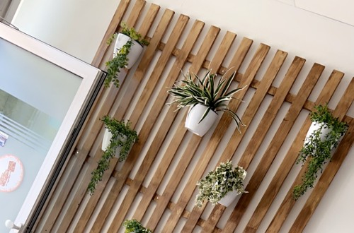 Destination beauté Futura Anne