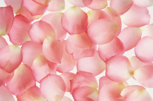 Beauté & Bienêtre Institut  Epilation Massage et EsthetiqueKOBIDO ET RENATA