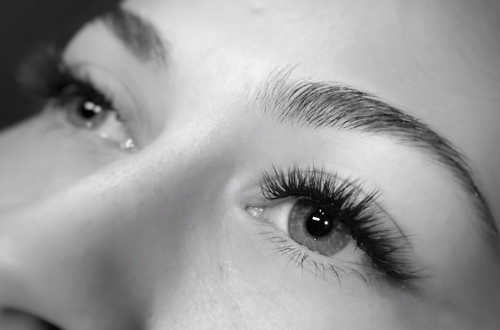 LASHOLOGIES Institut & Centre de formation Extension de cils rehaussement de cils et sourcils