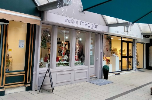 Institut Meggan