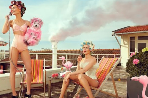 L'Institut de Peauline