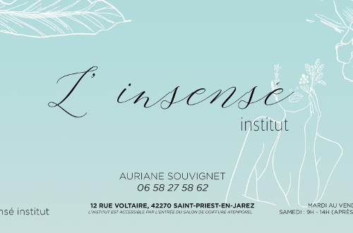 L'insensé institut