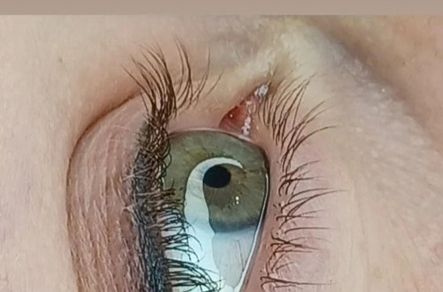 Les Petites Havraises